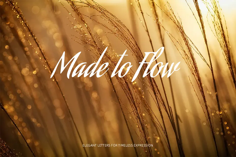 Aguafina Script Font Font Preview for Logo