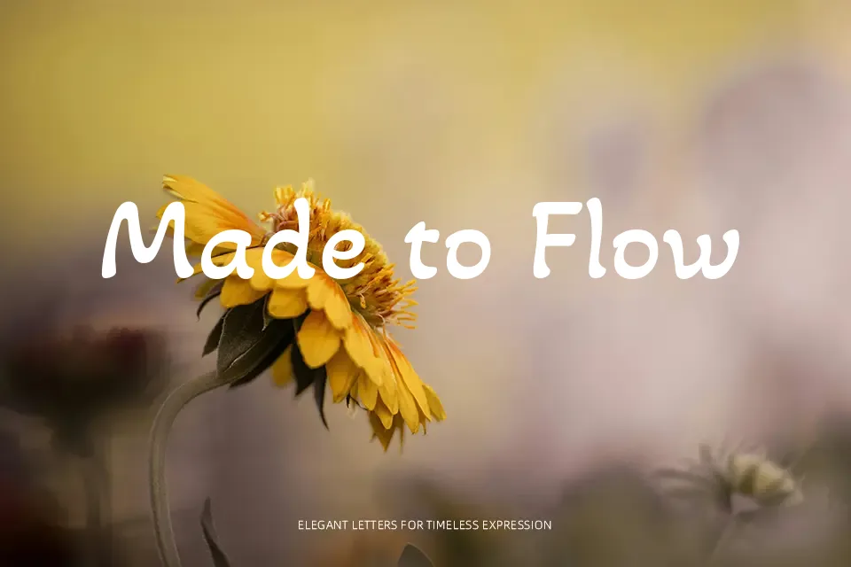 Akaya Kanadaka Font Font Preview for Friendly Branding