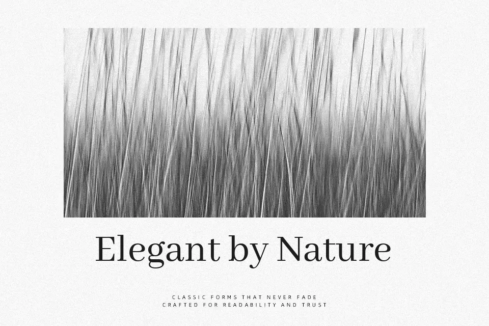 Abhaya Libre Font Font Preview for Body Text