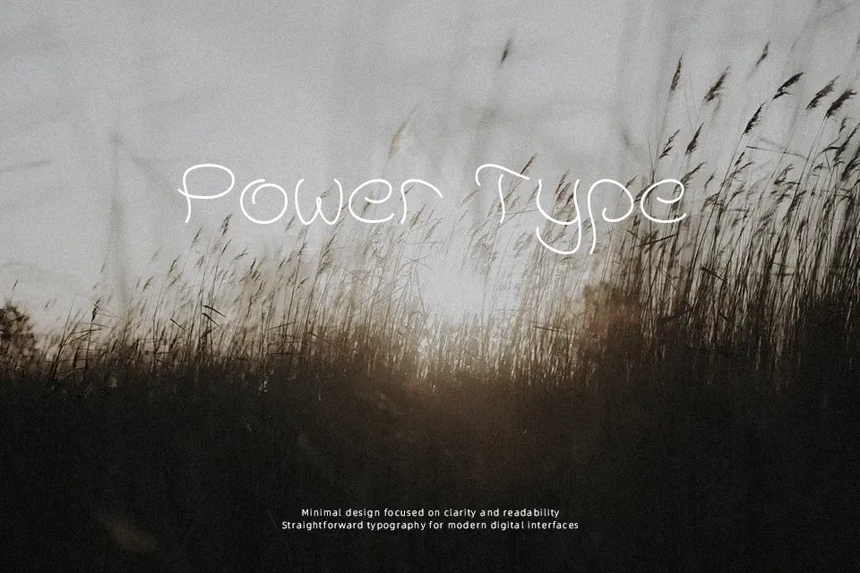Accent Wet Noodle Font Font Preview for Creative Poster
