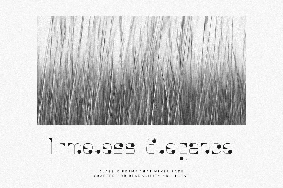 Agnes Serif Font Font Preview for Professional Editorial