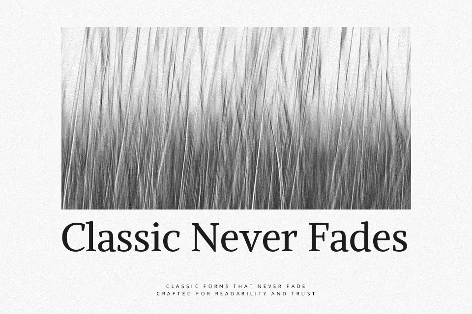 Alike Font Font Preview for Professional Website