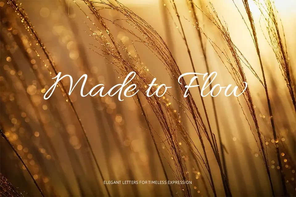 Allura Font Handwritten Font Preview for Branding