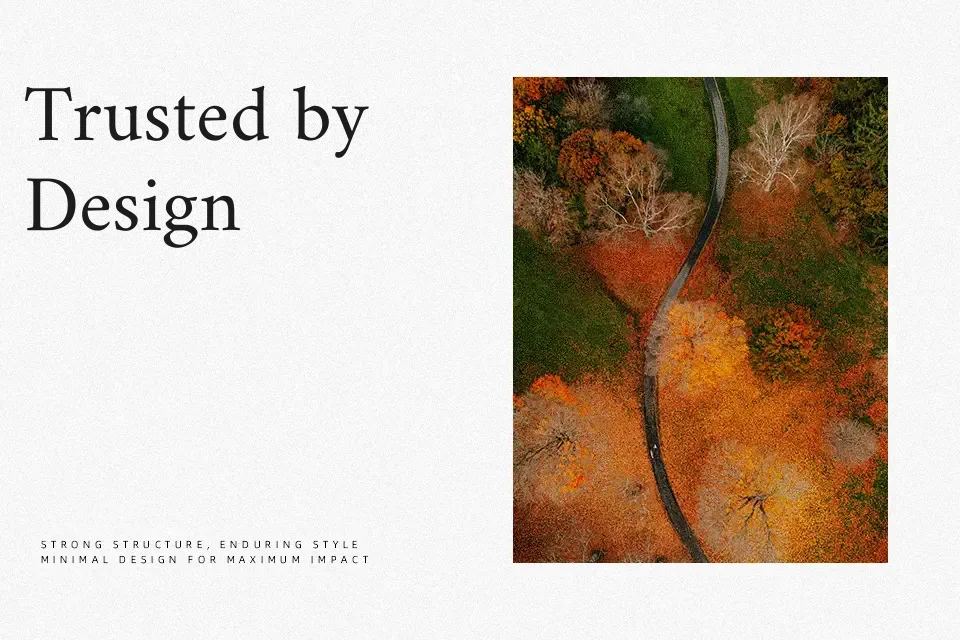 Amiri Quran Font Font Preview for Professional Website