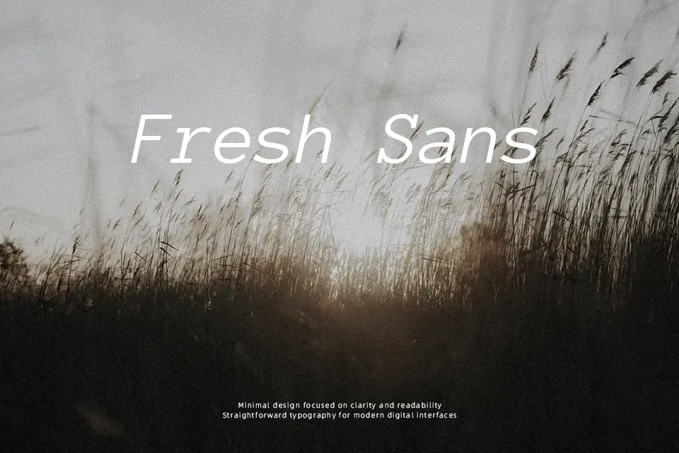 Anonymous Pro Font Display Font Preview for Body Text