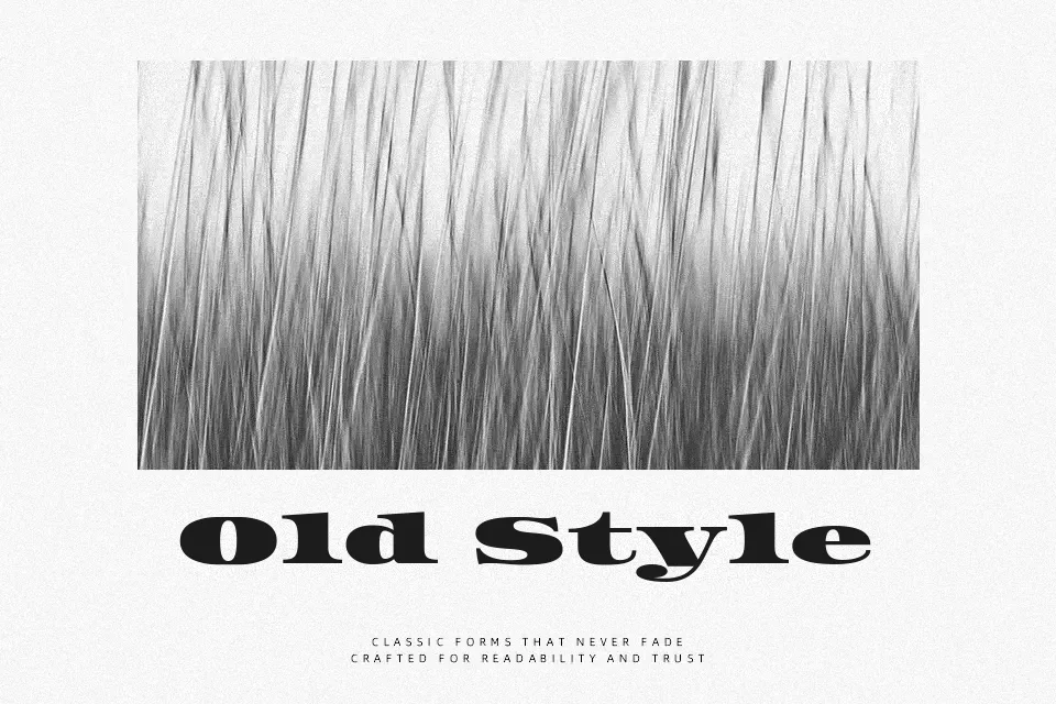 Asset Font Font Preview in Latin