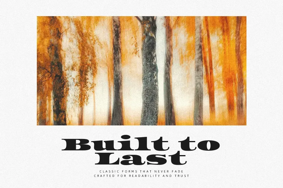 Asset Font Font Preview for Logo