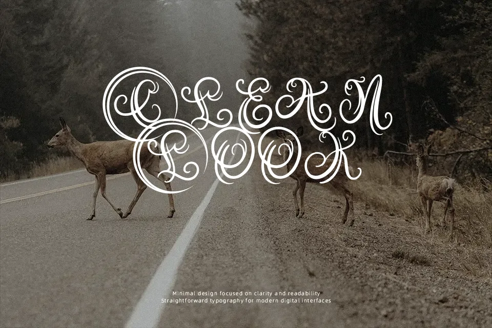 Austy Monogram Font Font Preview for Elegant Mood