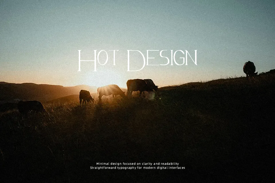 Avanti Font Font Preview for Elegant Poster