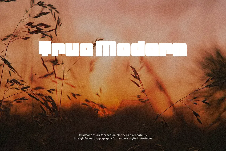 Badeen Display Font Font Preview for Artistic Logo