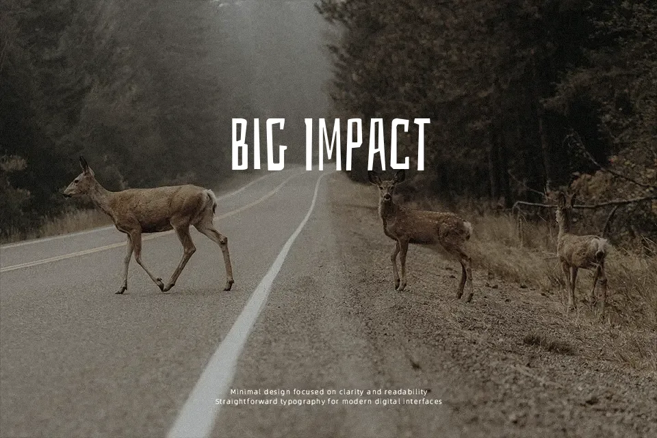 Bahiana Font Font Preview for Creative Packaging