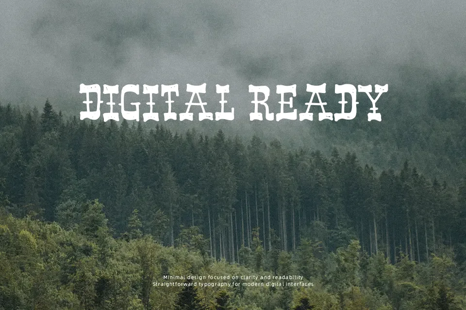 Band Wagon Font Slab Serif Font Preview for Packaging