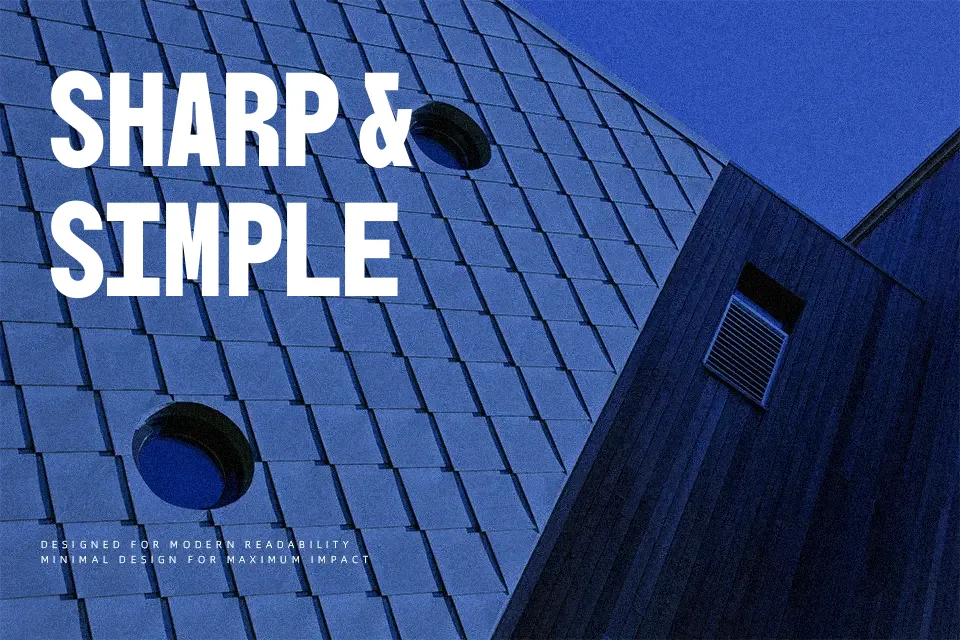 BBH Bogle Font Font Preview for Professional Headline