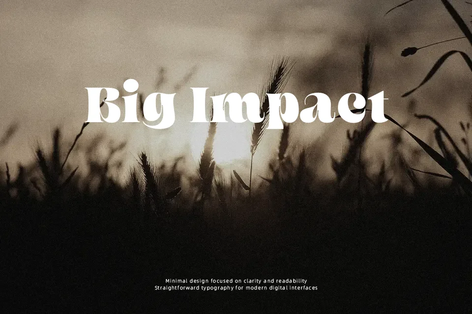 Begild Font Decorative Font Preview for Branding