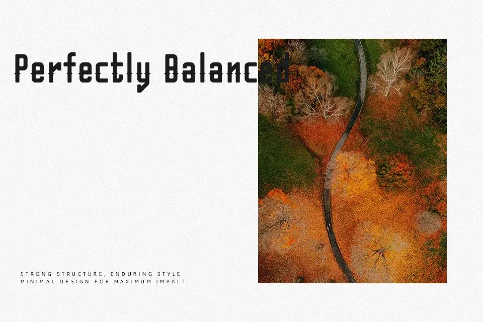 Belvis Font Font Preview for Dynamic Logo