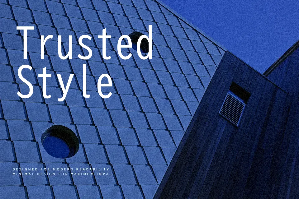 BIZ UDGothic Font Sans Serif Font Preview for UI Design