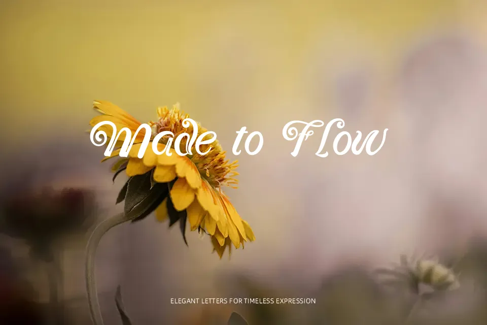 Black Forest Font Handwritten Font Preview for Wedding