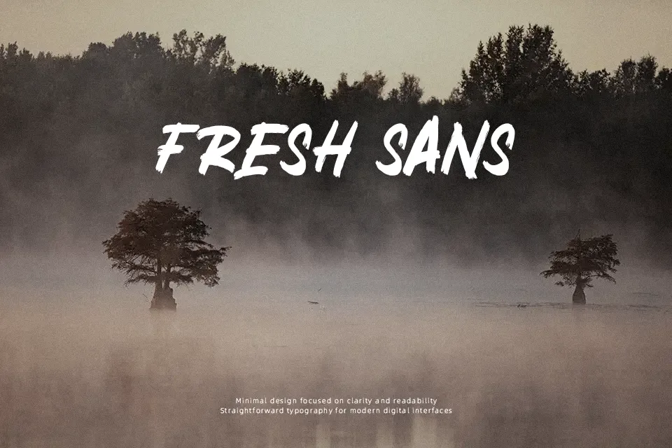 Black Friday Font Brush Font Preview for Headline