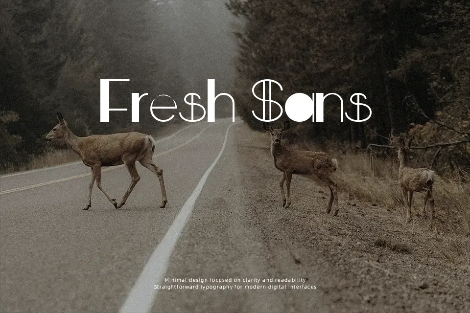 Black Rollaway Font Font Preview for Bold Poster