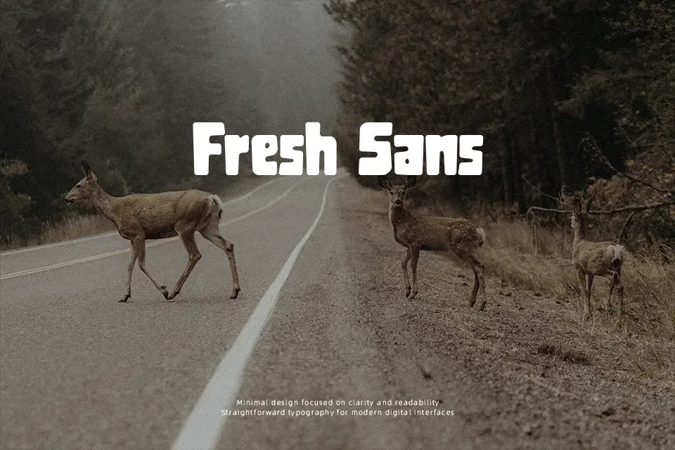 Blackhood Font Font Preview for Bold Branding