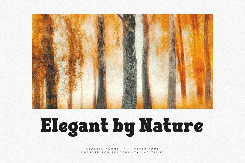 Bleqcki Font Font Preview for Bold Editorial