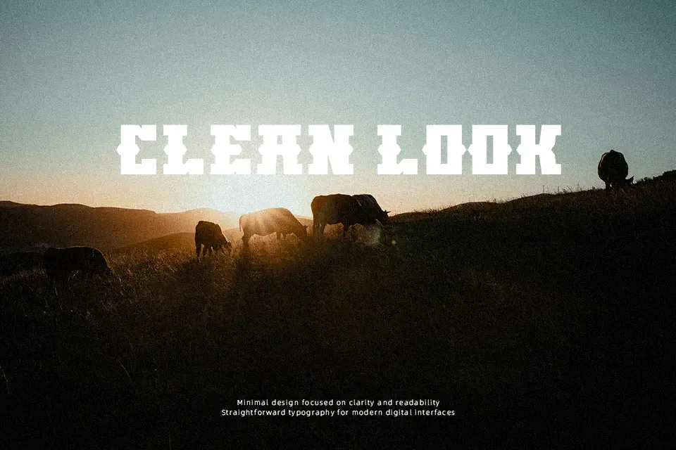 Block Western Font Font Preview for Masculine Mood