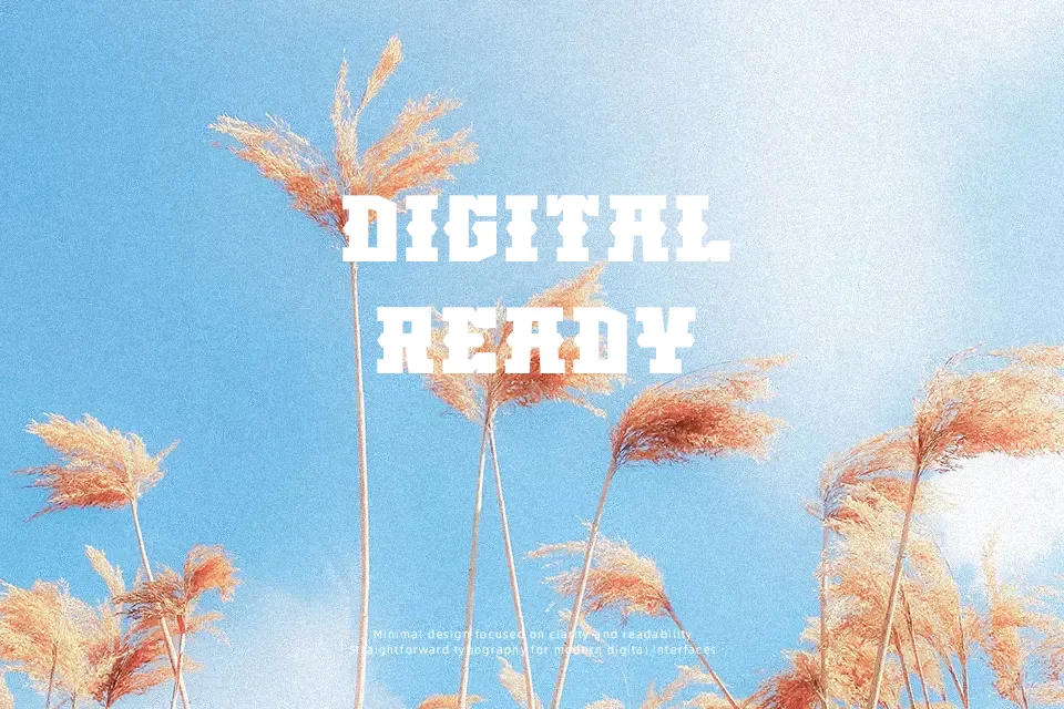 Block Western Font Slab Serif Font Preview