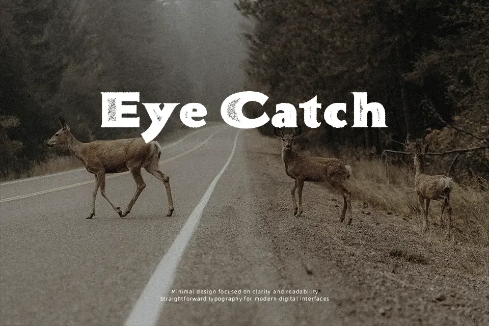 Bonneville Co. Font Font Preview for Artistic Advertising