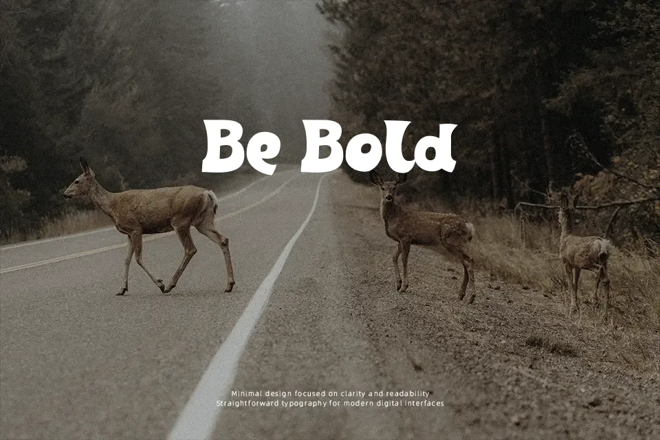 Breadcrumbs Font Font Preview for Bold Poster