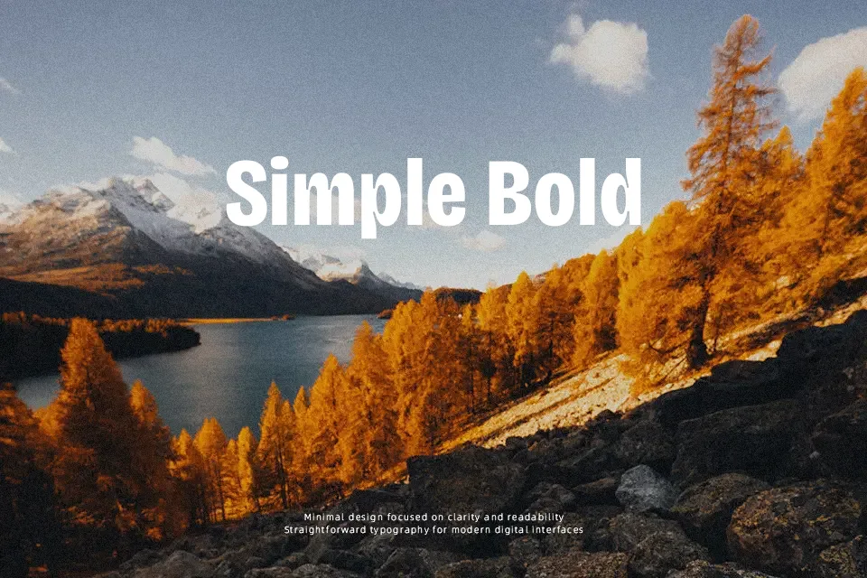 Bricolage Grotesque Font Font Preview for Creative UI Design