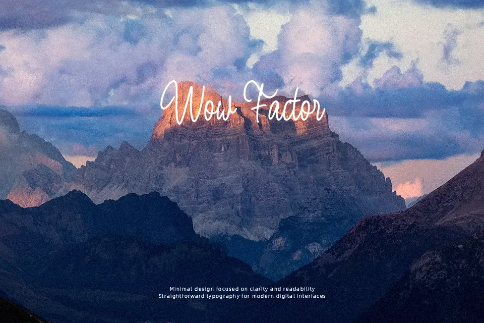 Bulgary Reagans Font Script Font Preview for Packaging