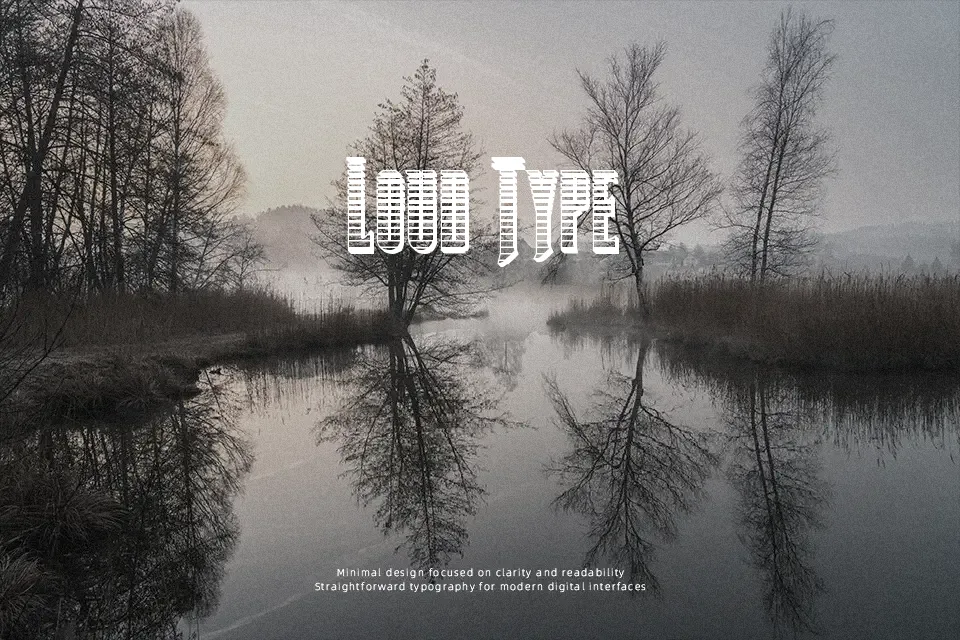 Butch & Sundance Font Decorative Font Preview for Branding
