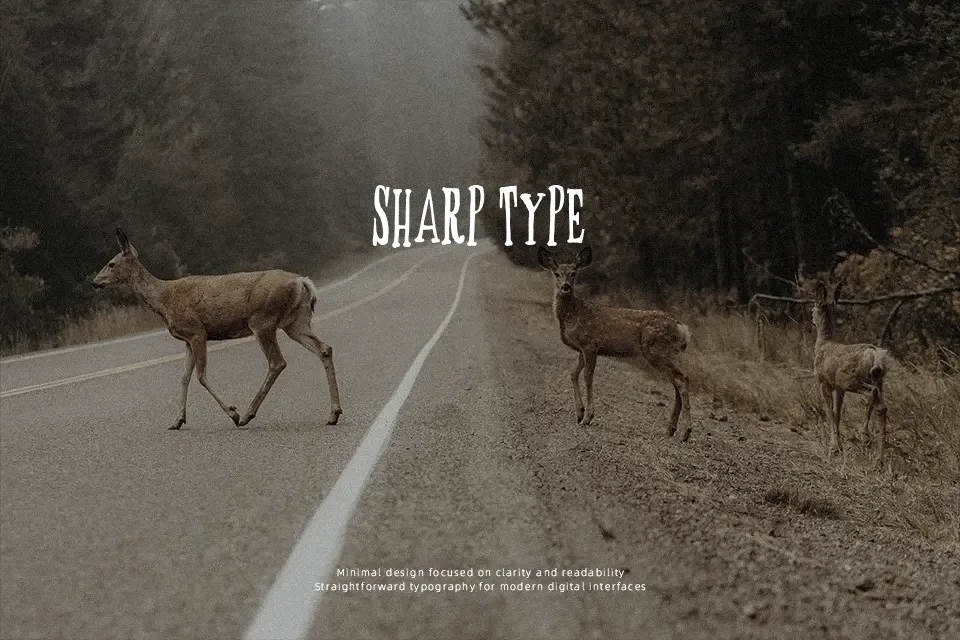 Butox Queen Font Font Preview for Creative Music