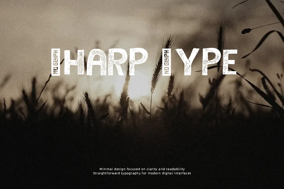 Campkid Font Display Font Preview