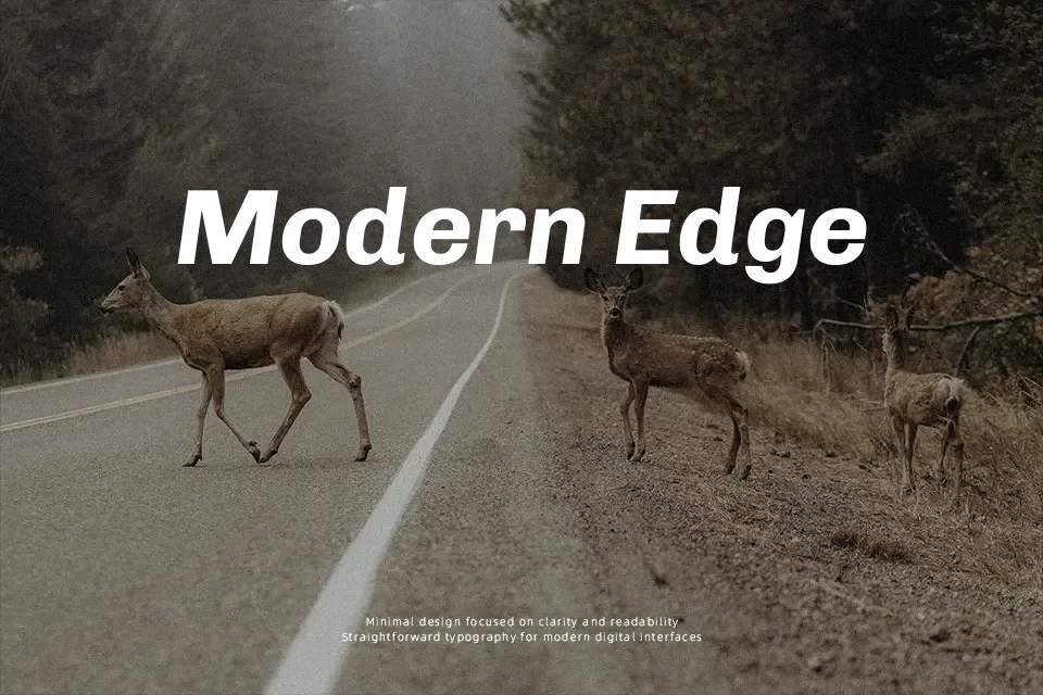 Chivo Font Font Preview for Modern Editorial