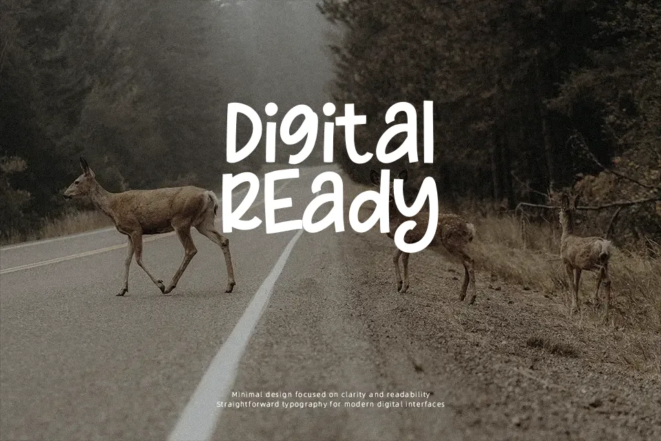 Christmas Farmhouse Font Font Preview for Warm Mood