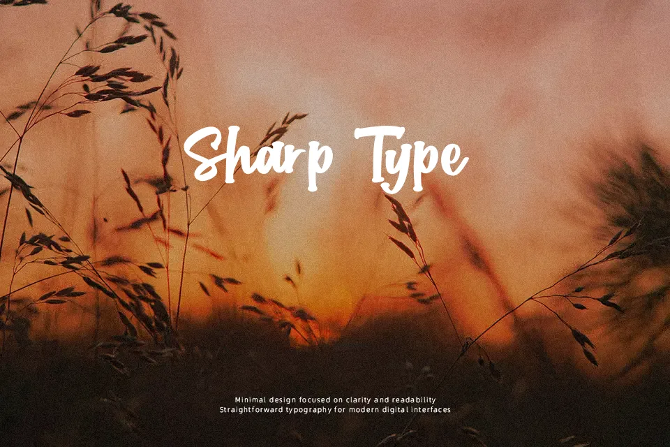 Chubby Bunny Font Font Preview for Cute Packaging