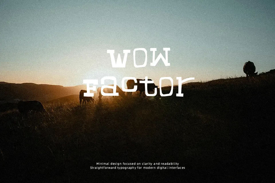 Chunky Munky Serif Font Font Preview for Poster