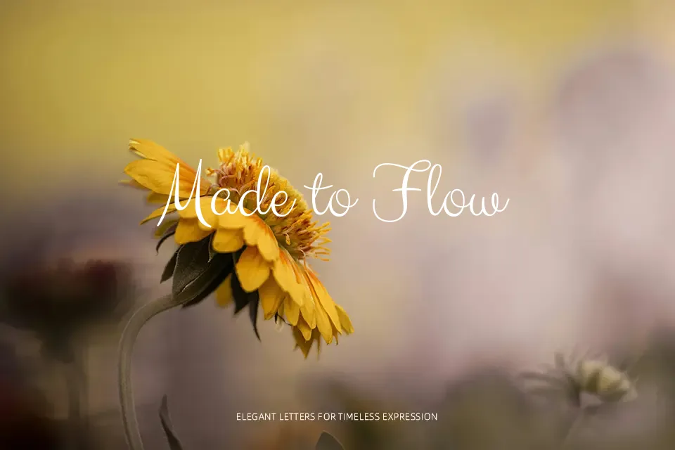 Clicker Script Font Font Preview for Elegant Branding