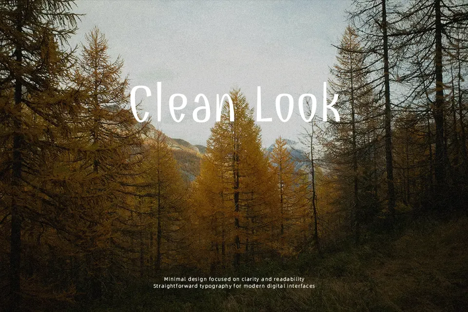 Combo Font Font Preview for Website