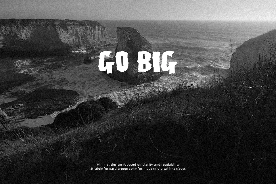 Creature of the swimming pool Font Font Preview for Bold Poster