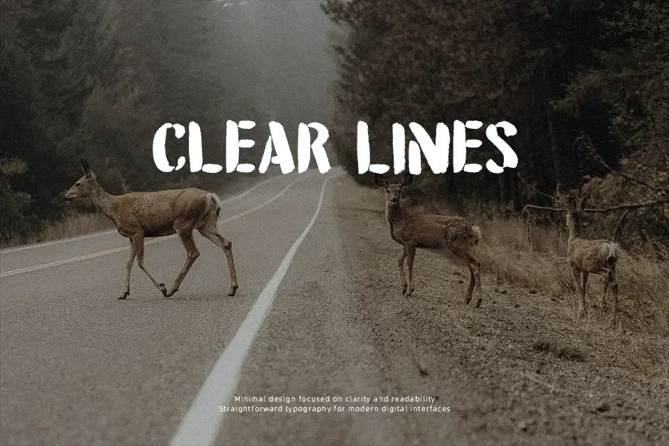 DK Attention Seeker Font Font Preview for Creative Headline