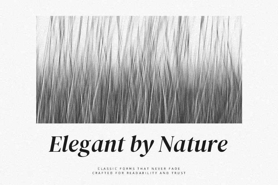 DM Serif Display Font Font Preview for Dramatic Mood