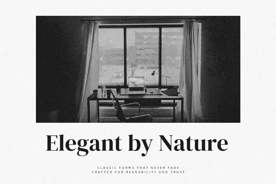DM Serif Display Font Display Font Preview