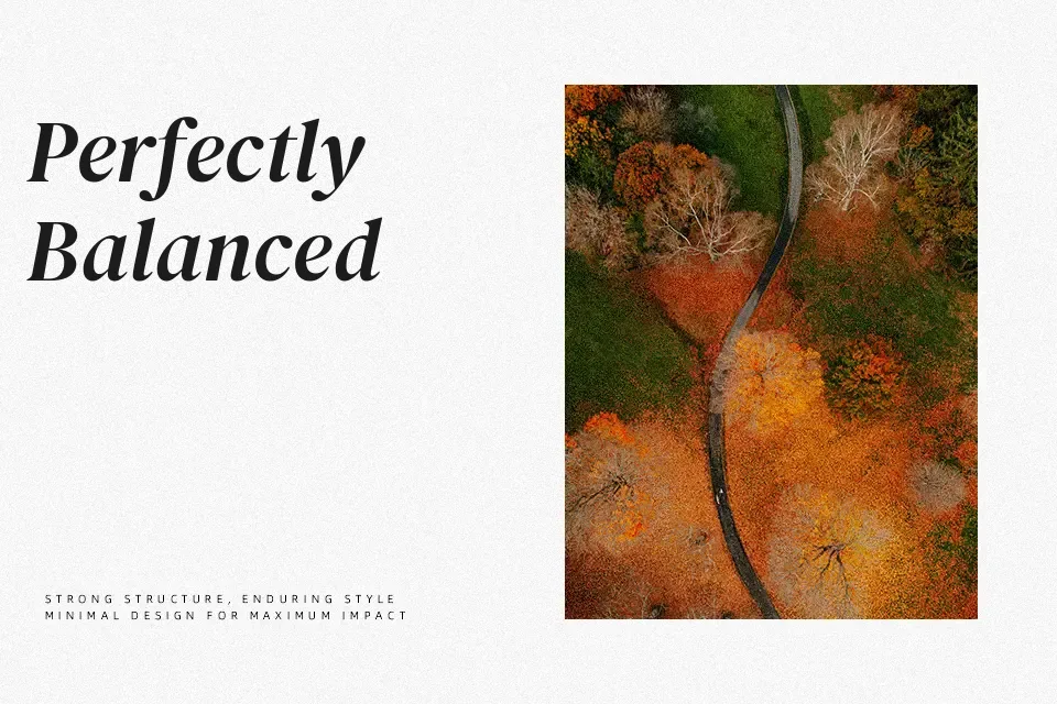 DM Serif Display Font Font Preview for Bold Mood