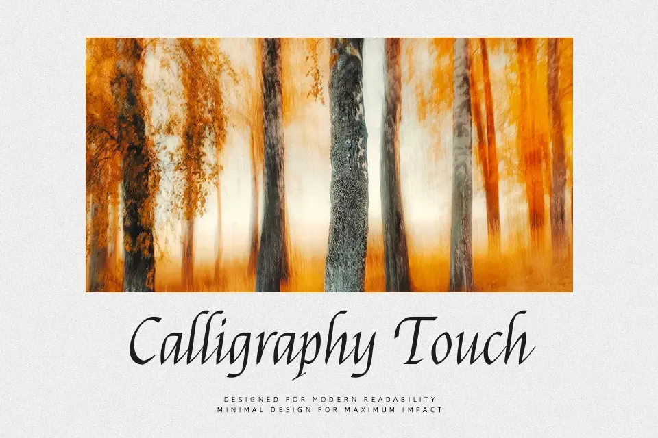 Felipa Font Calligraphy Font Preview for Branding