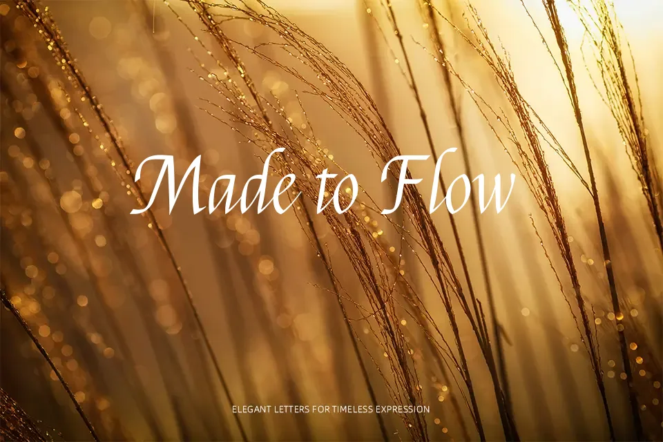 Felipa Font Font Preview for Creative Mood