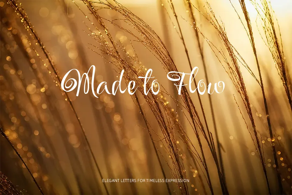 Festive Font Font Preview for Friendly Packaging