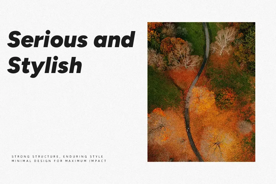 Figtree Font Font Preview for Headline