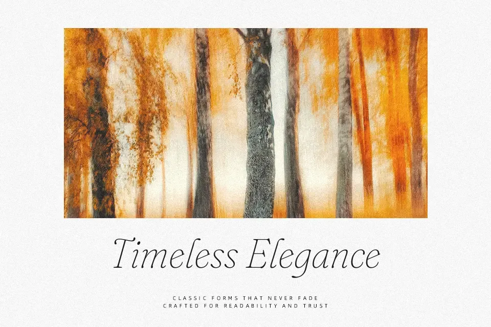 Fraunces Font Font Preview for Artistic Poster